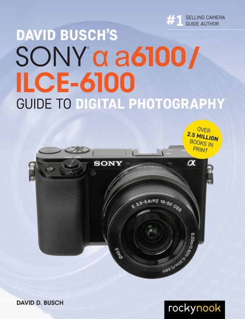 Cover image for book David Busch’s Sony Alpha a6100/ILCE-6100 Guide to Digital Photography