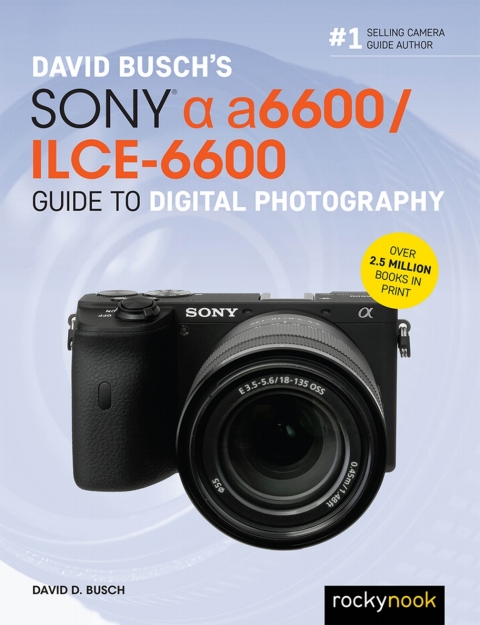 Cover image for book David Busch’s Sony Alpha a6600/ILCE-6600 Guide to Digital Photography