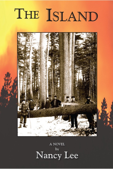 Cover image for book The Island