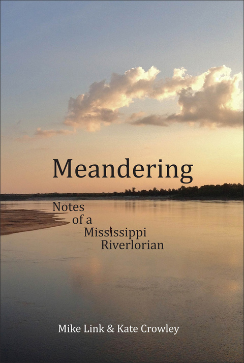 Cover image for book Meandering