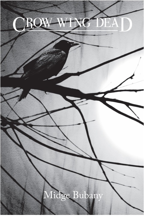 Cover image for book Crow Wing Dead