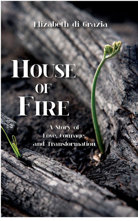 Cover image for book House of Fire