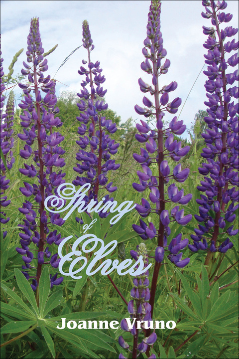 Cover image for book Spring of Elves