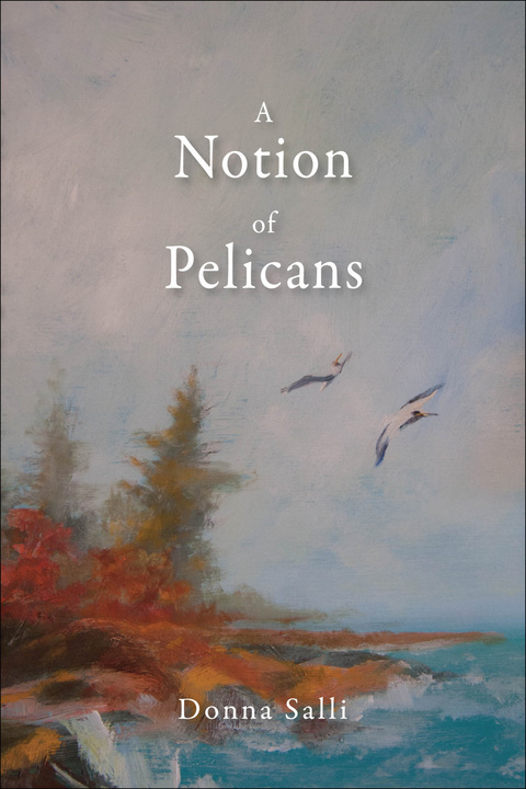 Cover image for book A Notion of Pelicans