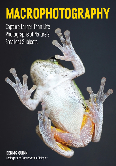 Cover image for book Macrophotography