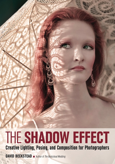 Cover image for book The Shadow Effect