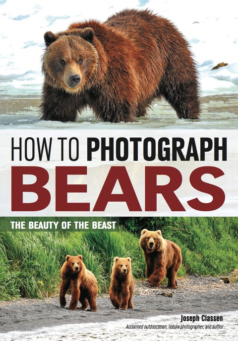 Cover image for book How to Photograph Bears