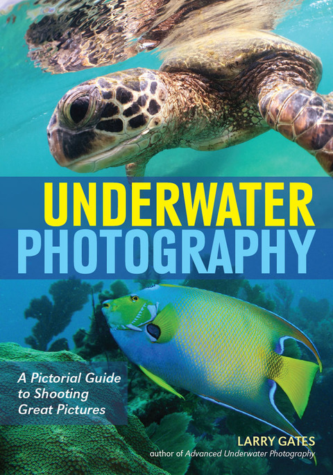 Cover image for book Underwater Photography