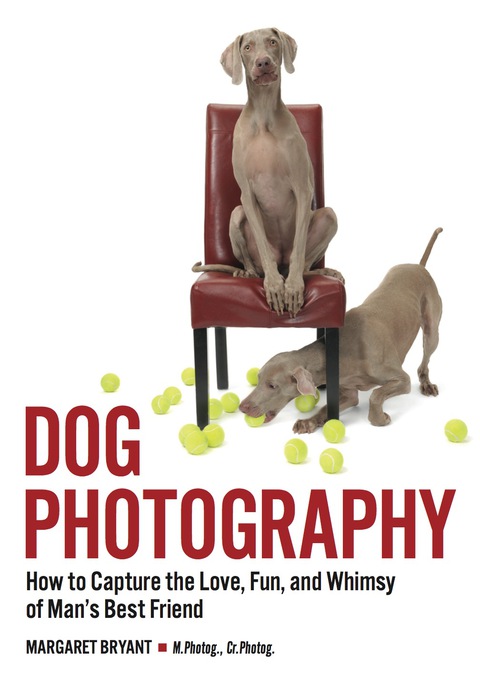 Cover image for book Dog Photography