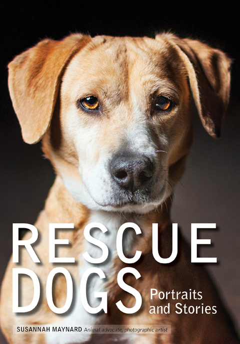 Cover image for book Rescue Dogs