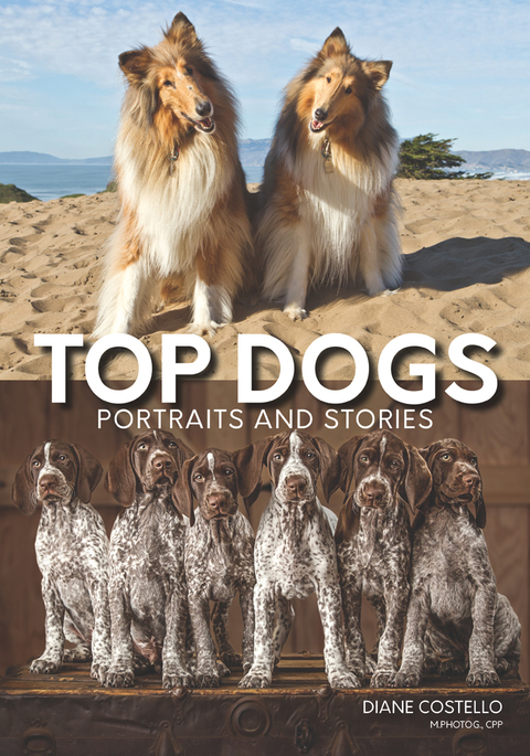 Cover image for book Top Dogs