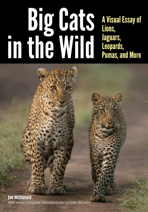 Cover image for book Big Cats in The Wild