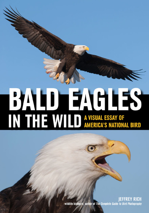 Cover image for book Bald Eagles In The Wild