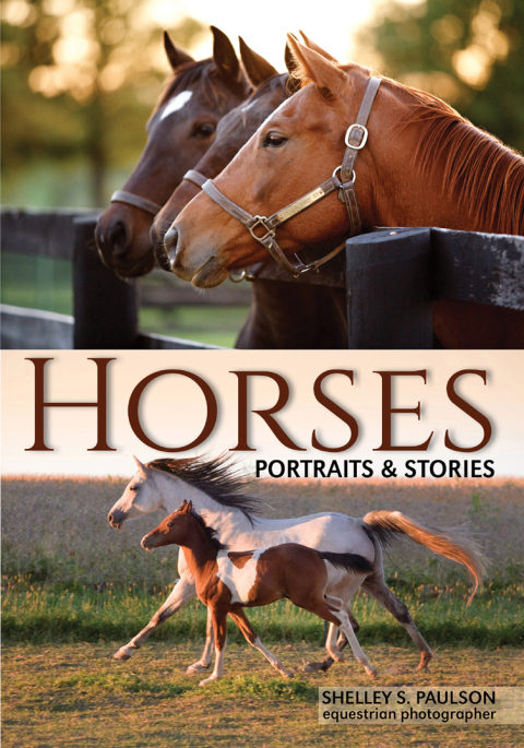 Cover image for book Horses