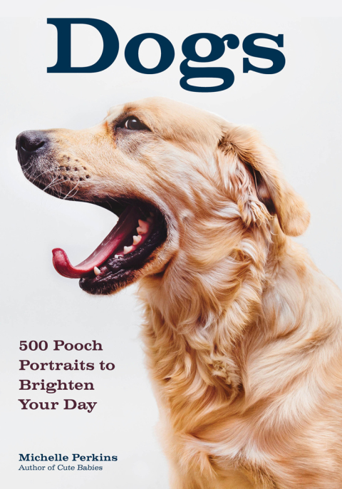 Cover image for book Dogs