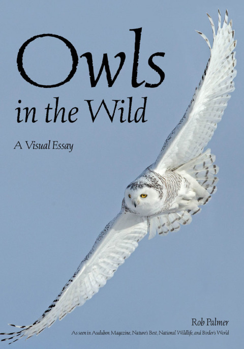 Cover image for book Owls In The Wild