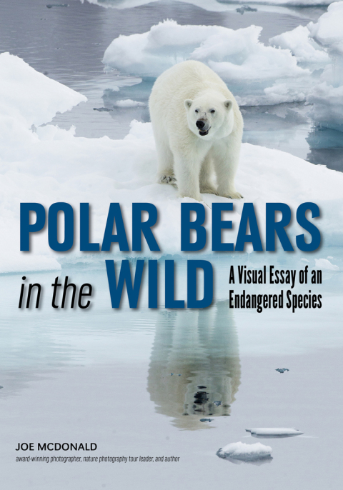 Cover image for book Polar Bears In The Wild