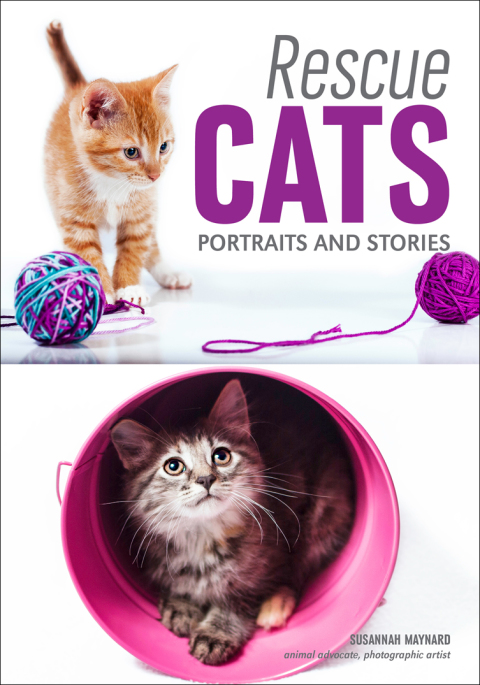 Cover image for book Rescue Cats