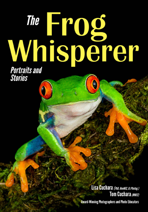 Cover image for book The Frog Whisperer
