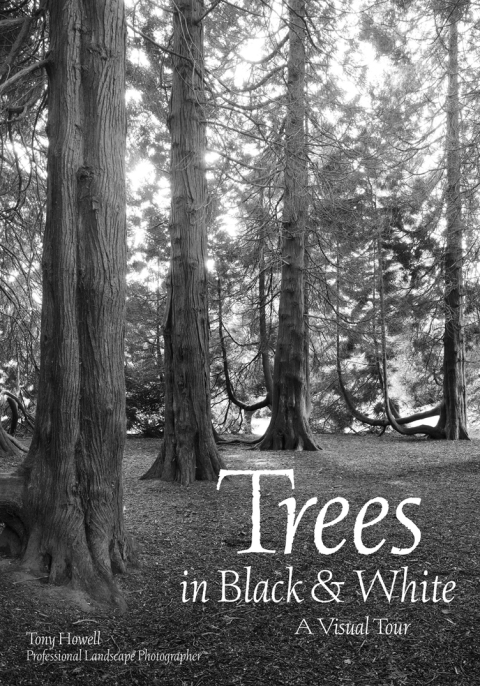 Cover image for book Trees in Black & White
