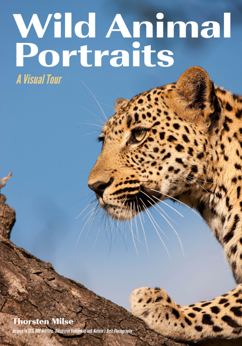 Cover image for book Wild Animal Portraits
