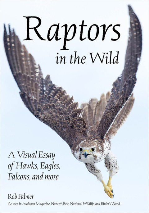 Cover image for book Raptors in the Wild