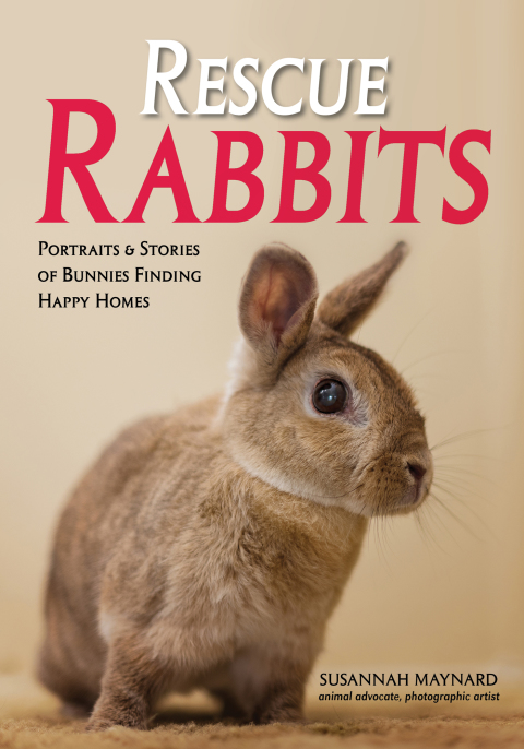 Cover image for book Rescue Rabbits