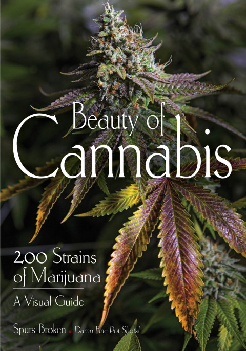 Cover image for book Beauty of Cannabis