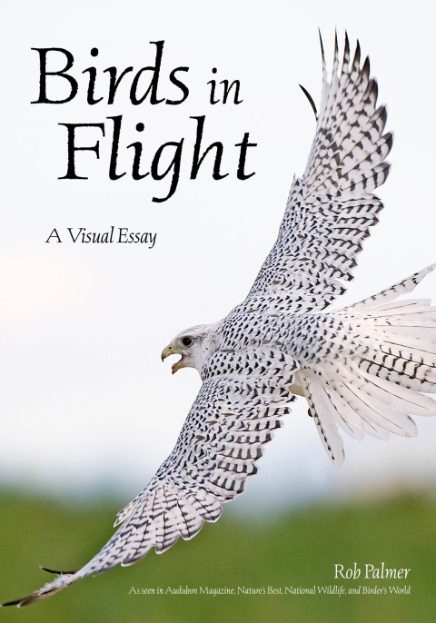 Cover image for book Birds in Flight