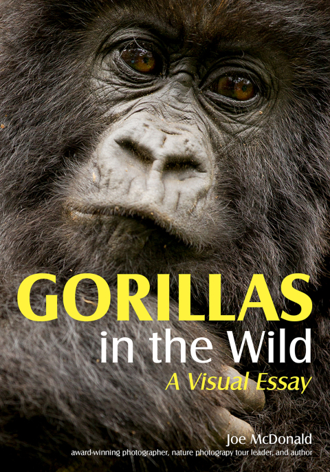 Cover image for book Gorillas in the Wild
