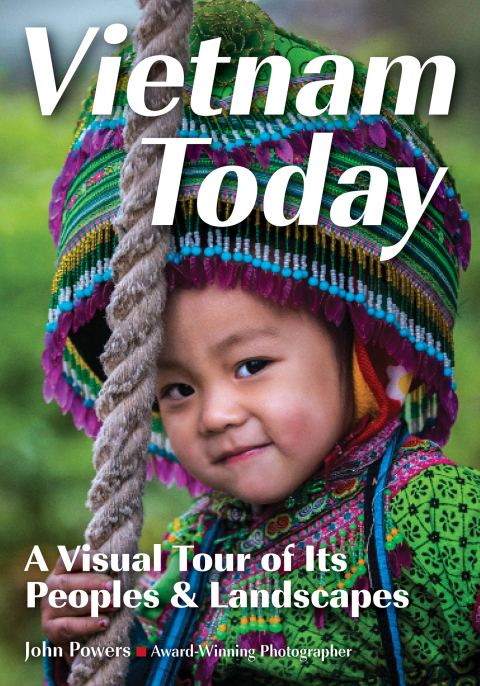 Cover image for book Vietnam Today