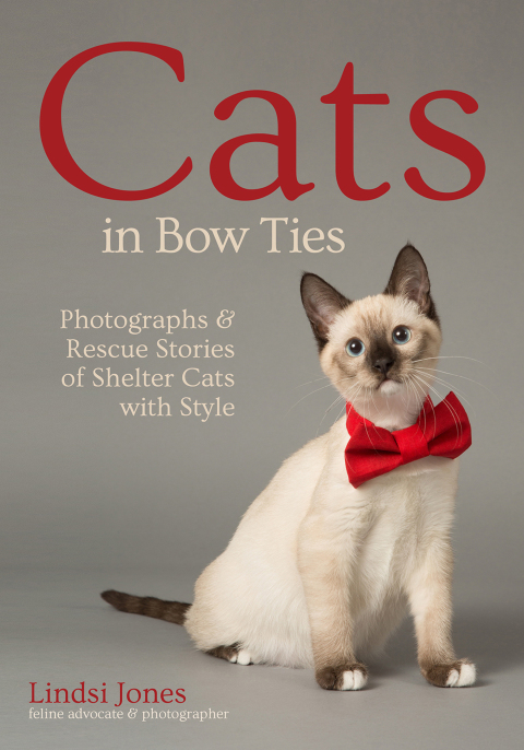 Cover image for book Cats in Bow Ties