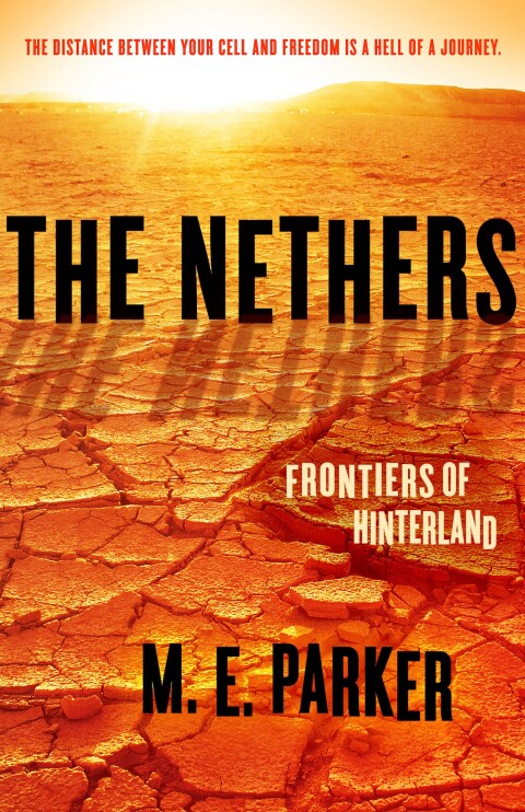 Cover image for book The Nethers