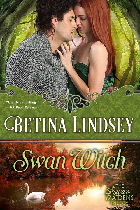 Cover image for book Swan Witch