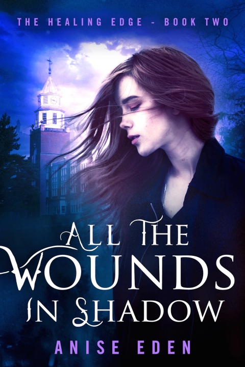 Cover image for book All the Wounds in Shadow