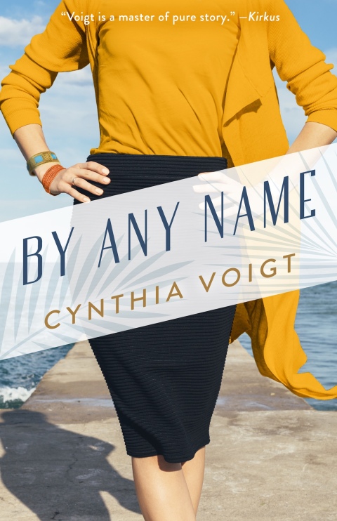 Cover image for book By Any Name