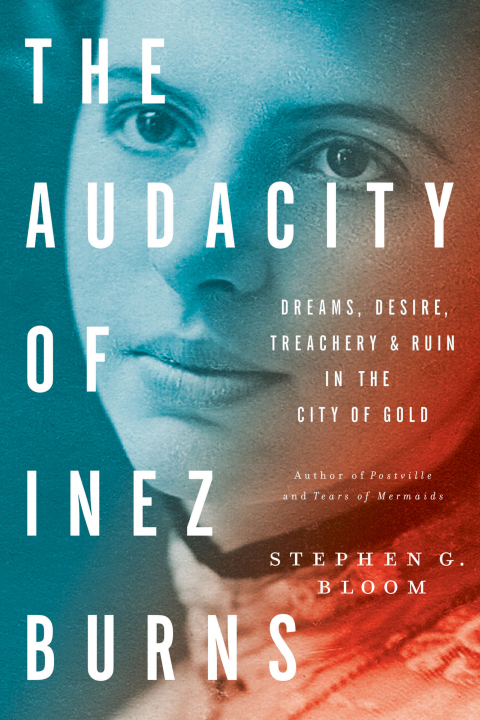 Cover image for book The Audacity of Inez Burns