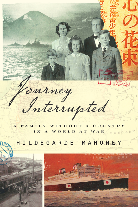 Cover image for book Journey Interrupted