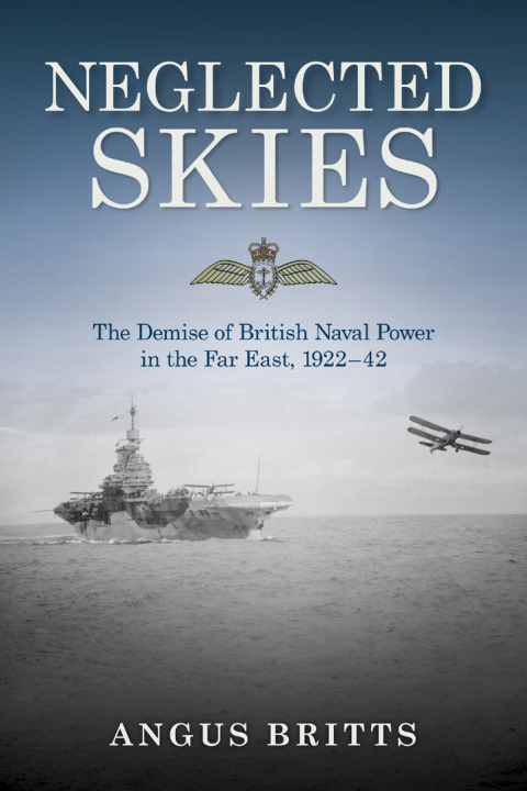 Cover image for book Neglected Skies