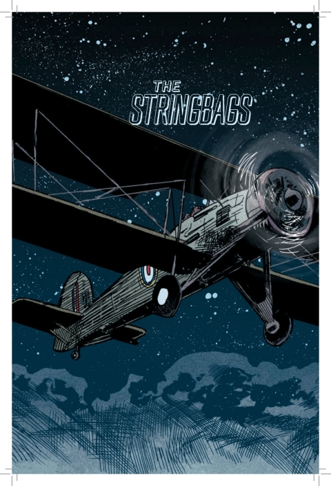 Cover image for book The Stringbags