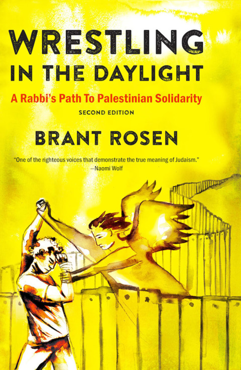 Cover image for book Wrestling in the Daylight