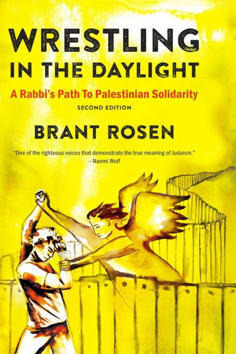 Cover image for book Wrestling in the Daylight