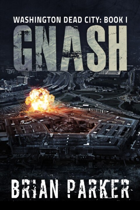 Cover image for book Gnash