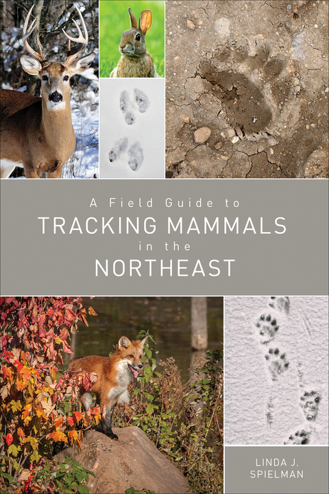 Cover image for book A Field Guide to Tracking Mammals in the Northeast