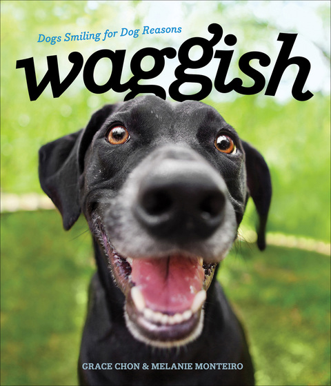 Cover image for book Waggish