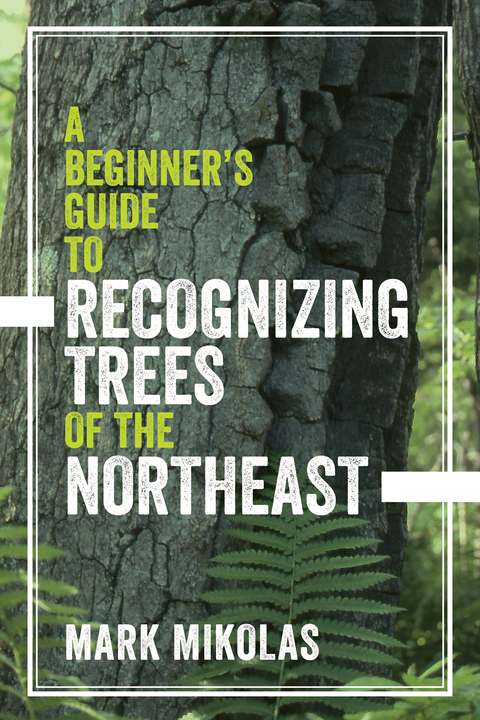 Cover image for book A Beginner's Guide to Recognizing Trees of the Northeast