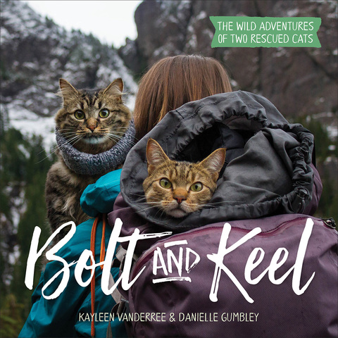 Cover image for book Bolt and Keel