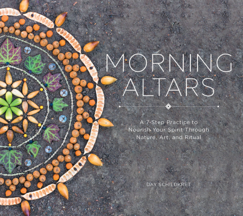 Cover image for book Morning Altars