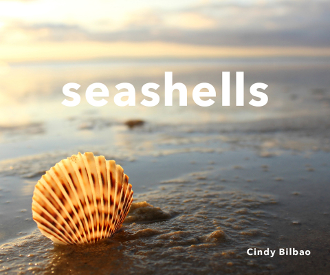 Cover image for book Seashells
