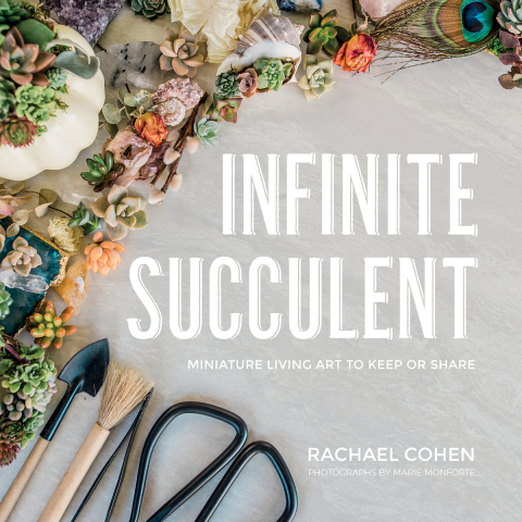 Cover image for book Infinite Succulent